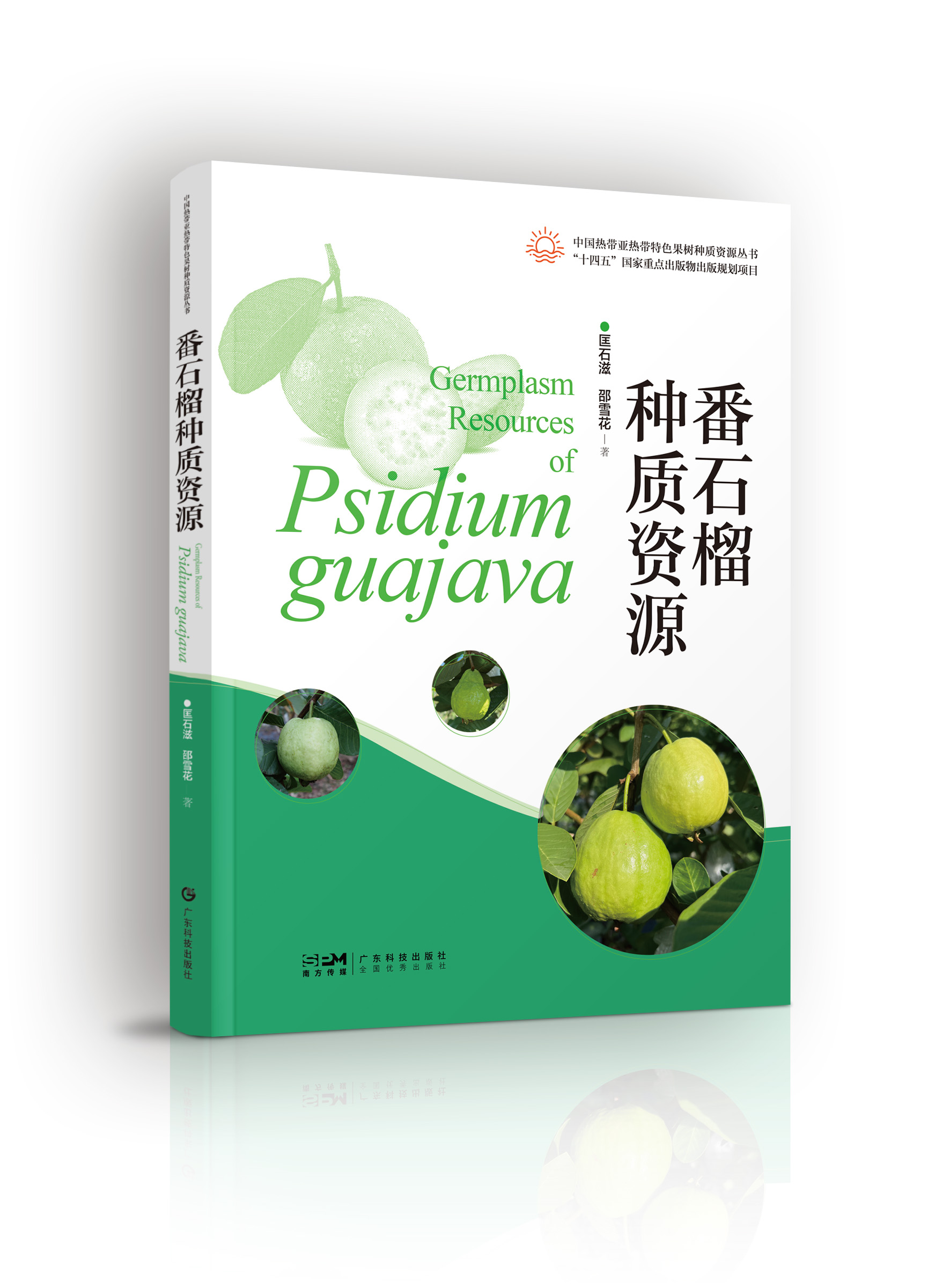 番石榴種質(zhì)資源