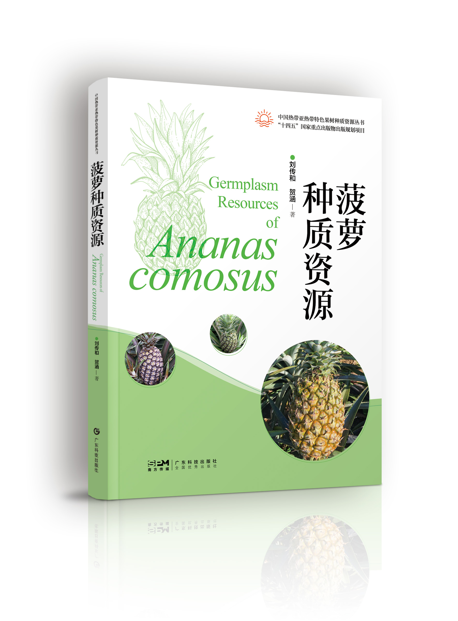 菠蘿種質(zhì)資源