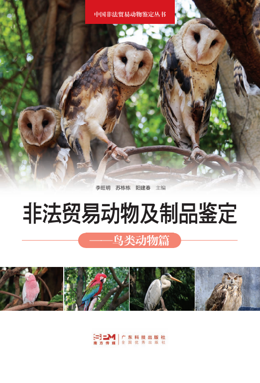 非法貿易動(dòng)物及制品鑒定——鳥(niǎo)類(lèi)動(dòng)物篇