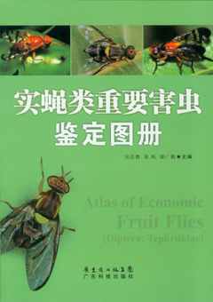 實(shí)蠅類(lèi)重要害蟲(chóng)鑒定圖冊