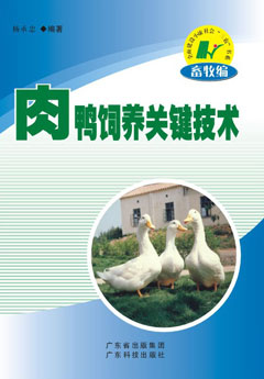 肉鴨飼養關(guān)鍵技術(shù)