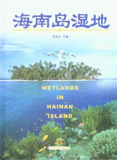 海南島濕地