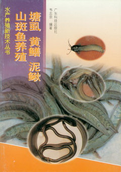 塘虱 黃鱔 泥鰍山斑魚(yú)養殖