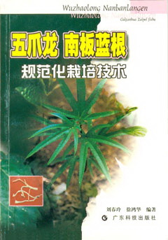 五爪龍 南板藍根規范化栽培技術(shù)