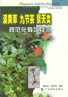 溪黃草 九節茶 景天類(lèi)規范化栽培技術(shù)