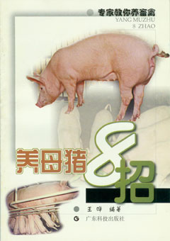 養母豬8招
