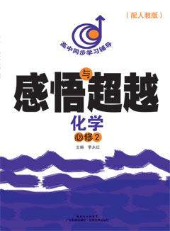 感悟與超越.化學(xué).必修2（配人教版）