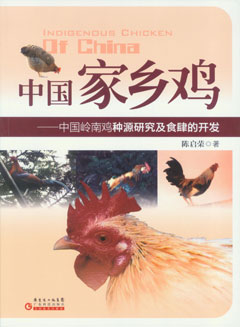 中國家鄉雞——中國嶺南雞種源研究及食肆的開(kāi)發(fā)
