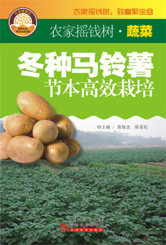 冬種馬鈴薯節本高效栽培
