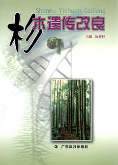 杉木遺傳改良