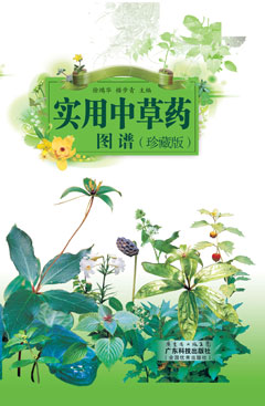 實(shí)用中草藥圖譜（珍藏版）
