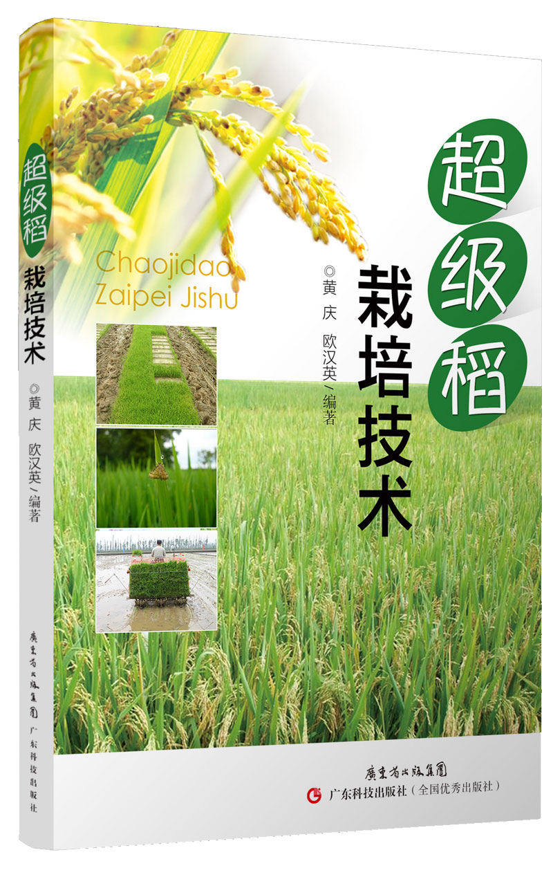 超級稻栽培技術(shù)