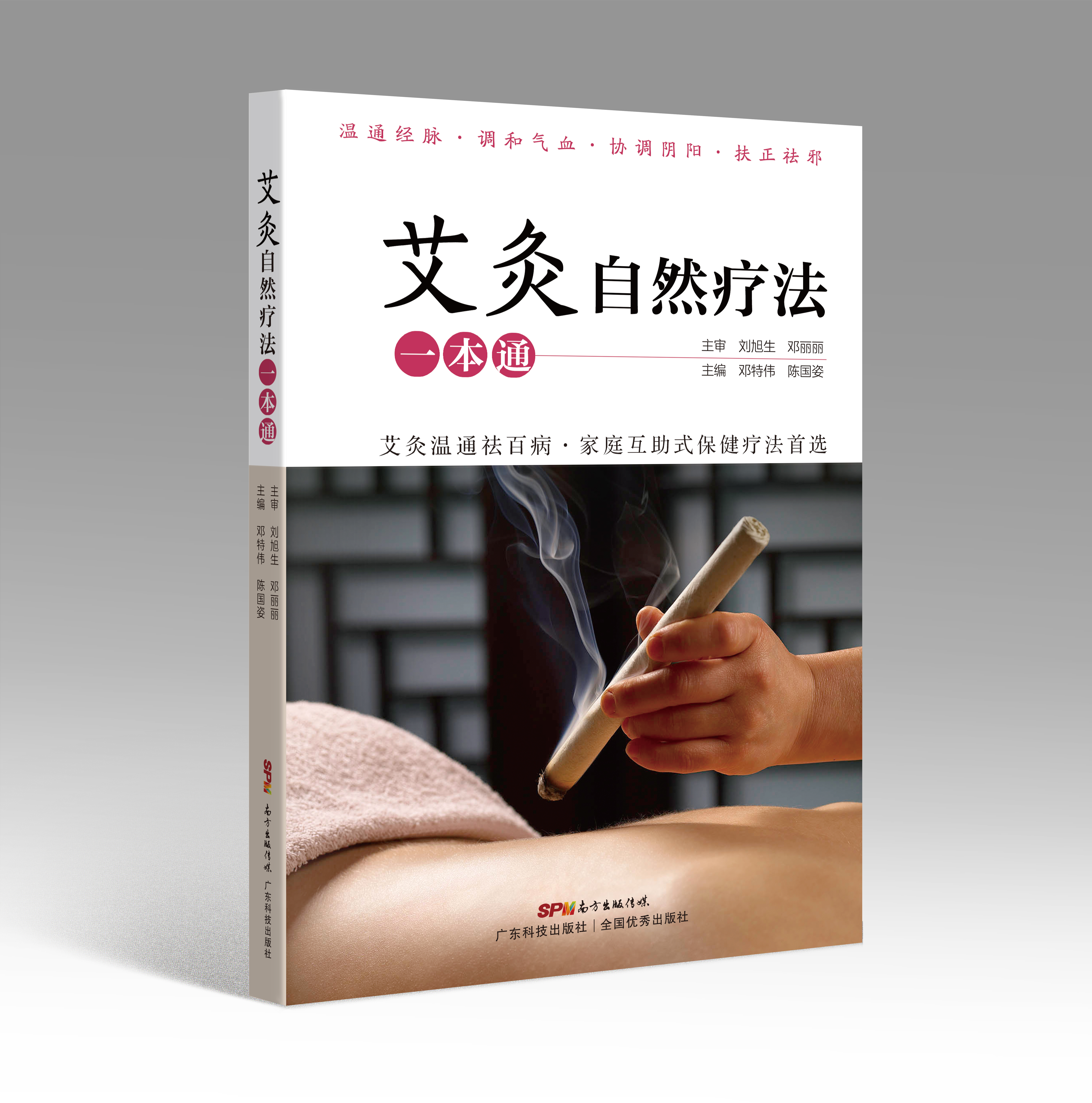艾灸自然療法一本通